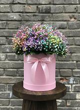 Цветочная композиция из Гипсофила и Розы в шляпной коробке #REPLACE_PRED# Нагорске