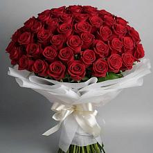 Букет 101 Красная роза Блэк Мэджик в Нагорске