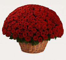 Премиум букет из: Розы в Нагорске